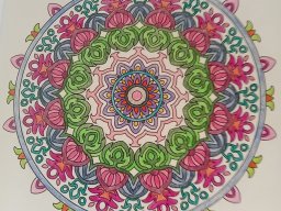 whatsapp bild 2023-08-10 um 19.24.47